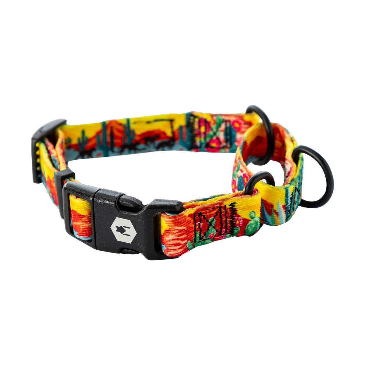 Martingale Dog Collar product image 1