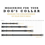 Martingale Dog Collar product image 4