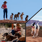Martingale Dog Collar product image 6
