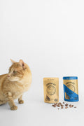 Cat Treat Bundle product image 1