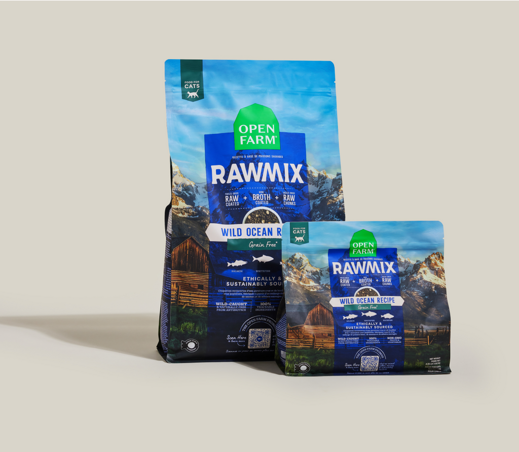Cat Kibble product image 9