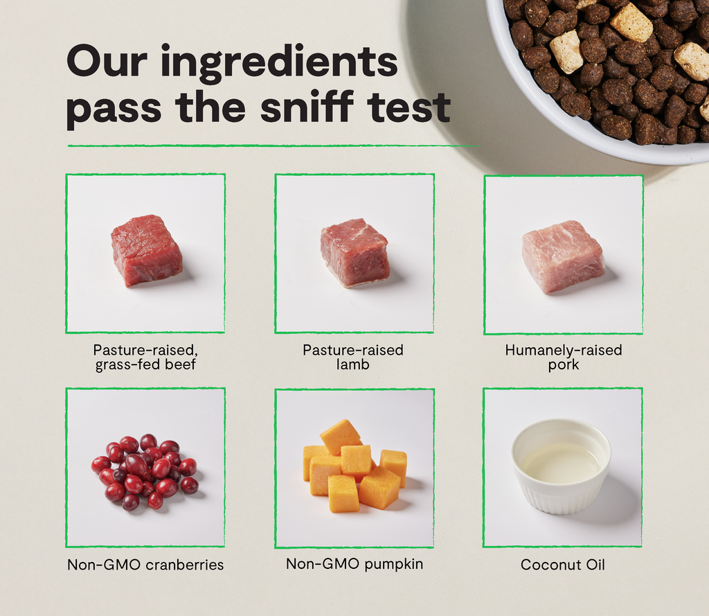 Dog Kibble product image 3