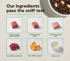 Dog Kibble product image 3