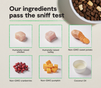 Dog Kibble product image 3