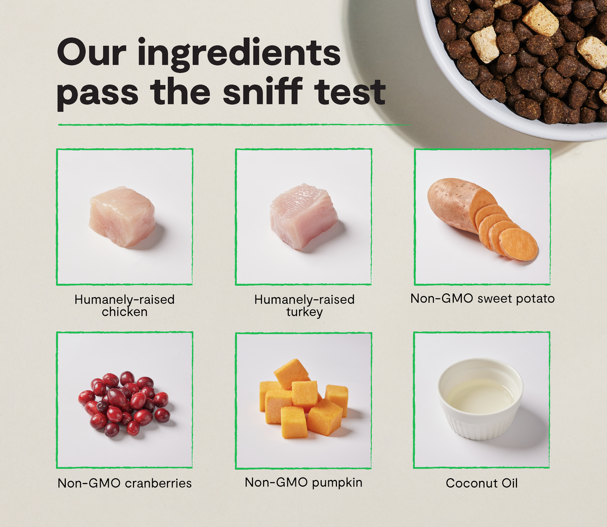 Dog Kibble product image 3