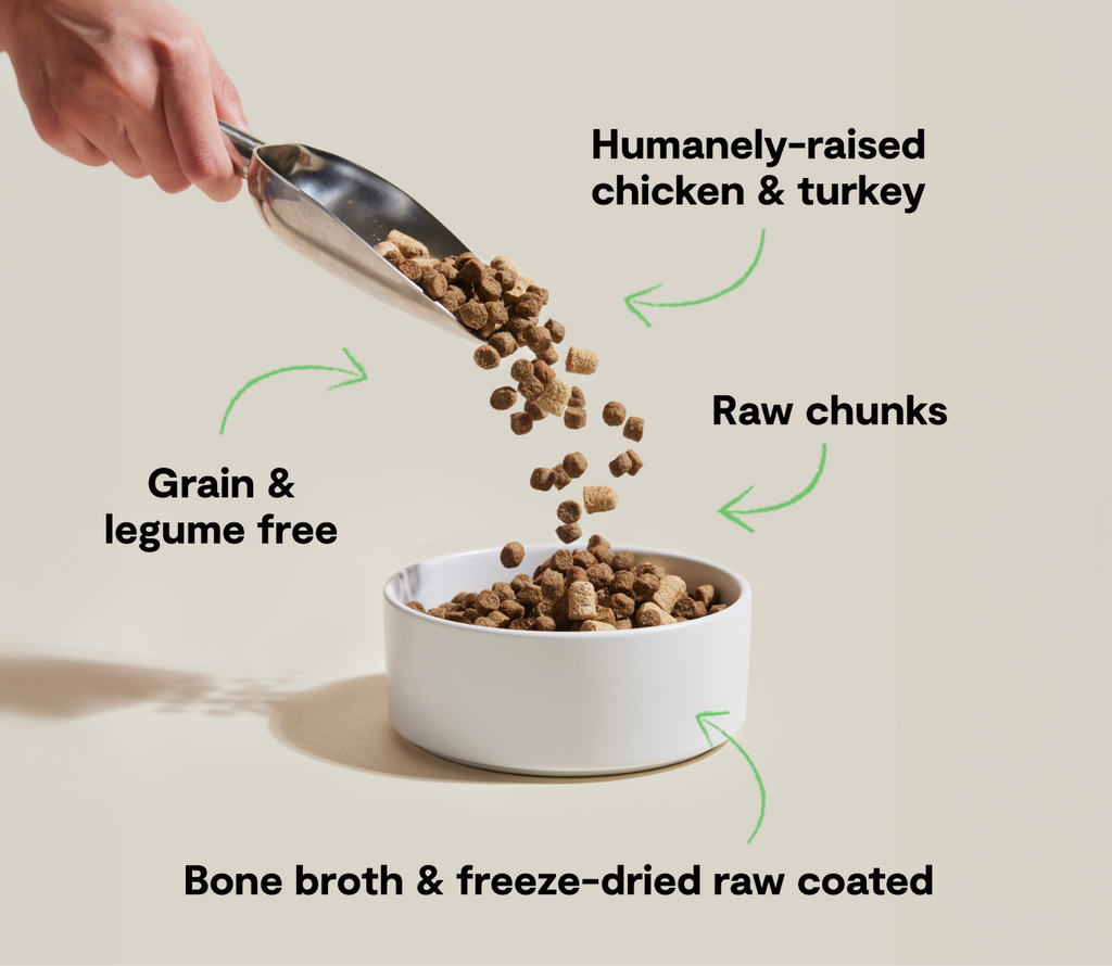 Dog Kibble product image 5