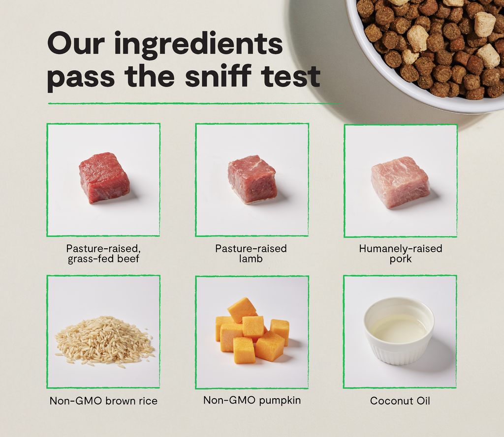 Dog Kibble product image 3