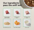 Dog Kibble product image 3