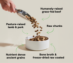 Dog Kibble product image 5