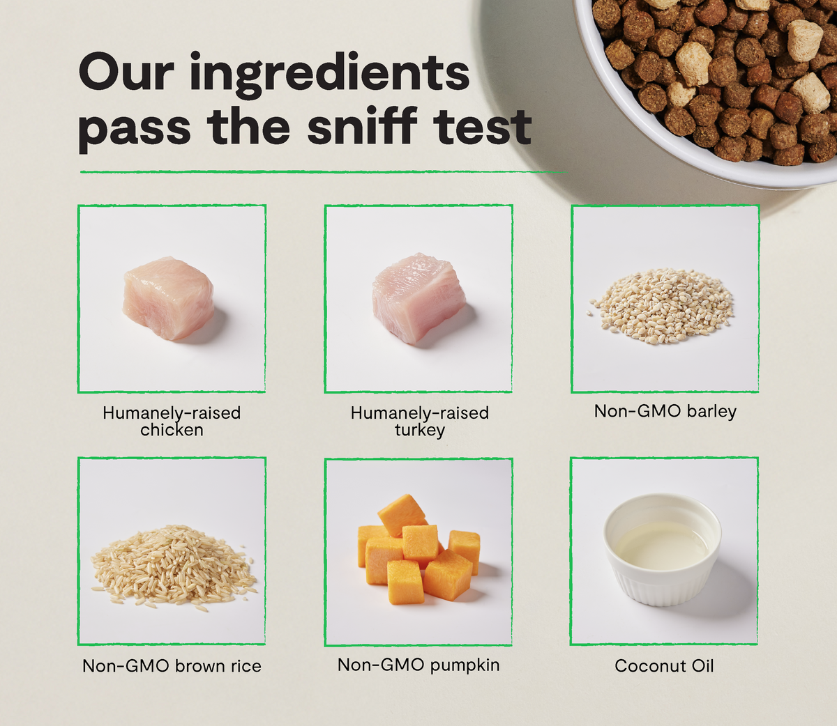 Dog Kibble product image 3