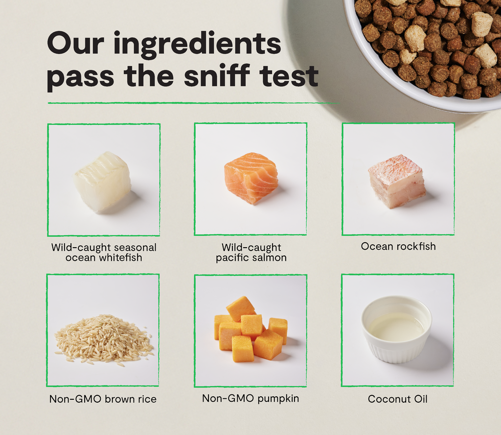 Dog Kibble product image 3