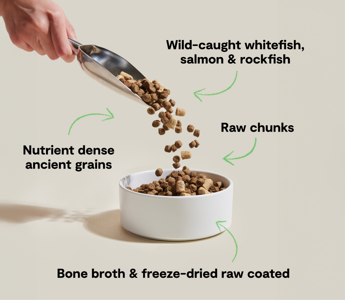 Dog Kibble product image 5