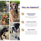Three-in-One No-Pull Dog Training Leash product image 3