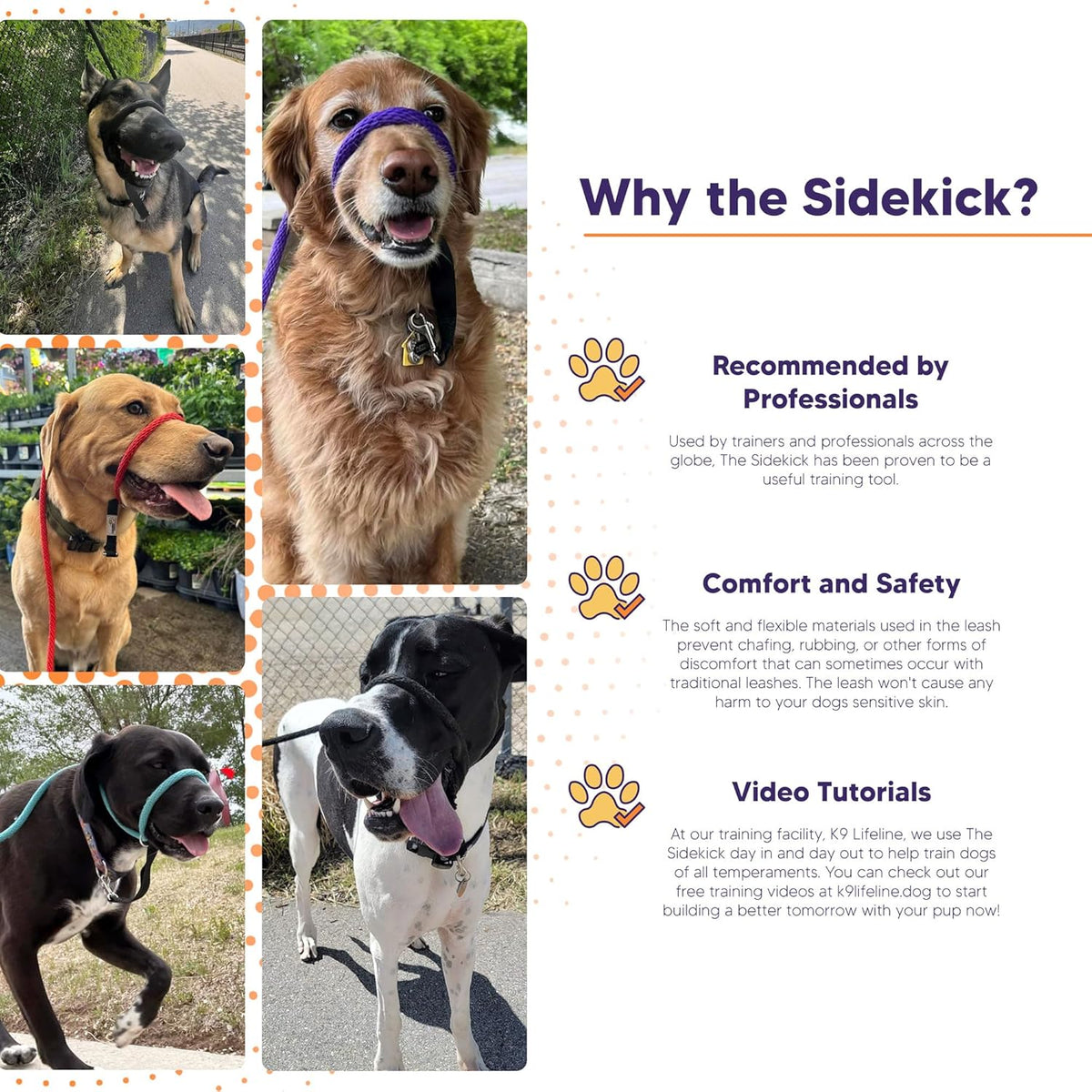 Three-in-One No-Pull Dog Training Leash product image 3