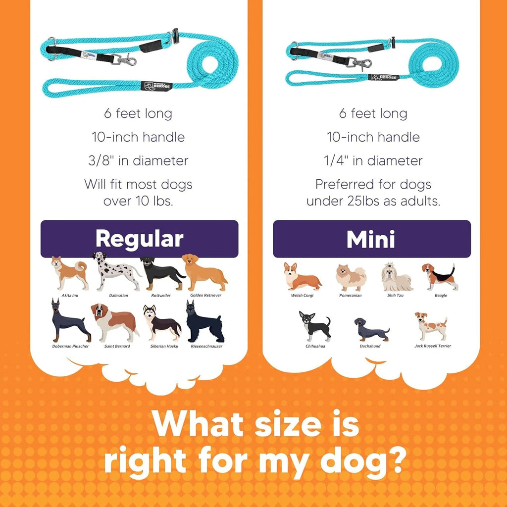 Three-in-One No-Pull Dog Training Leash product image 4