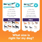 Three-in-One No-Pull Dog Training Leash product image 4