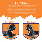 Three-in-One No-Pull Dog Training Leash product image 6