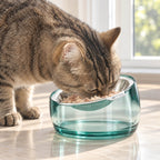 Elevated Cat Bowl product image 2