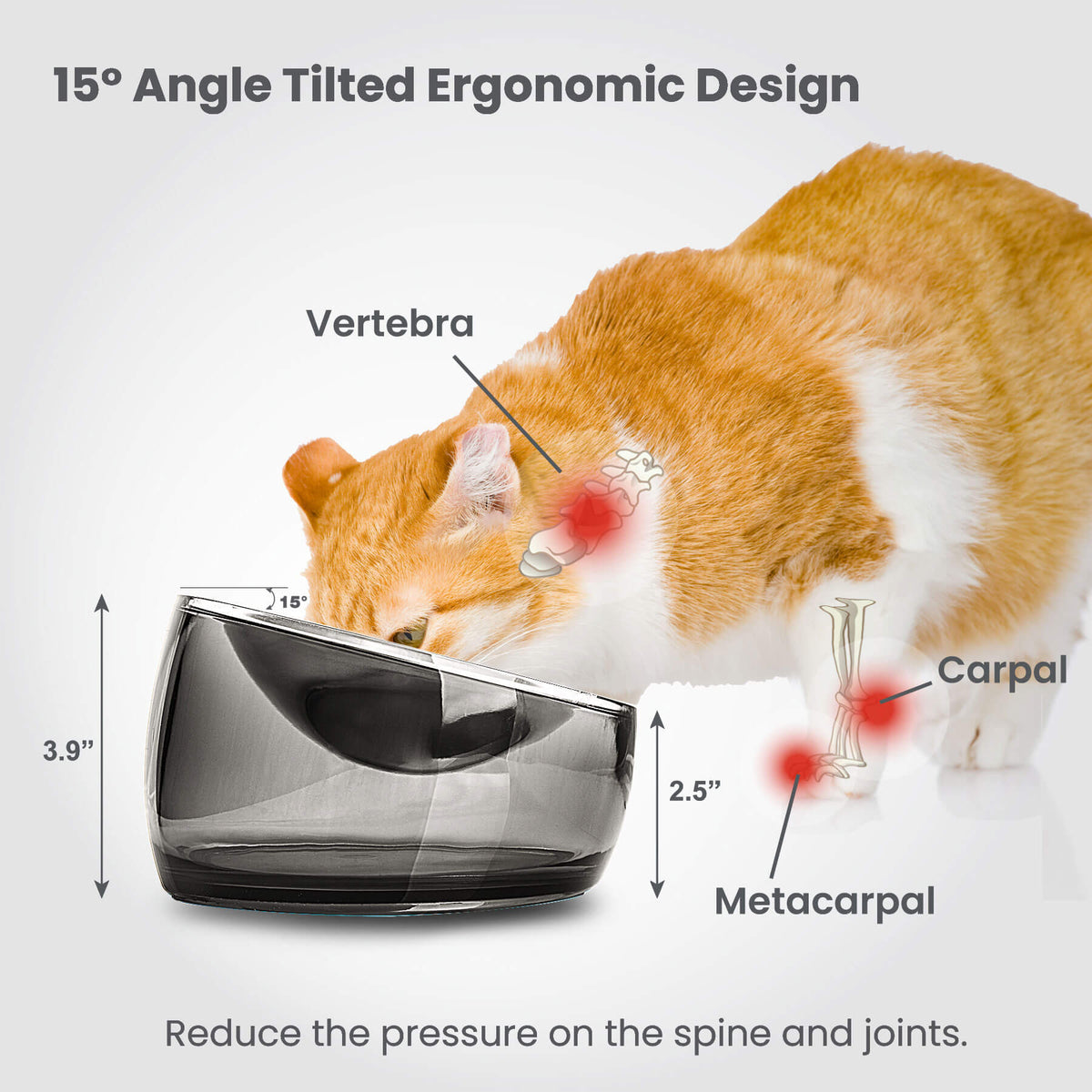 Elevated Cat Bowl product image 6