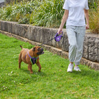 Retractable Dog Leash product image 2