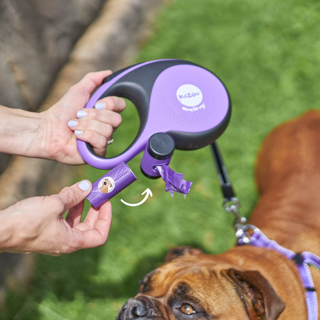 Retractable Dog Leash product image 3
