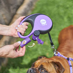 Retractable Dog Leash product image 3