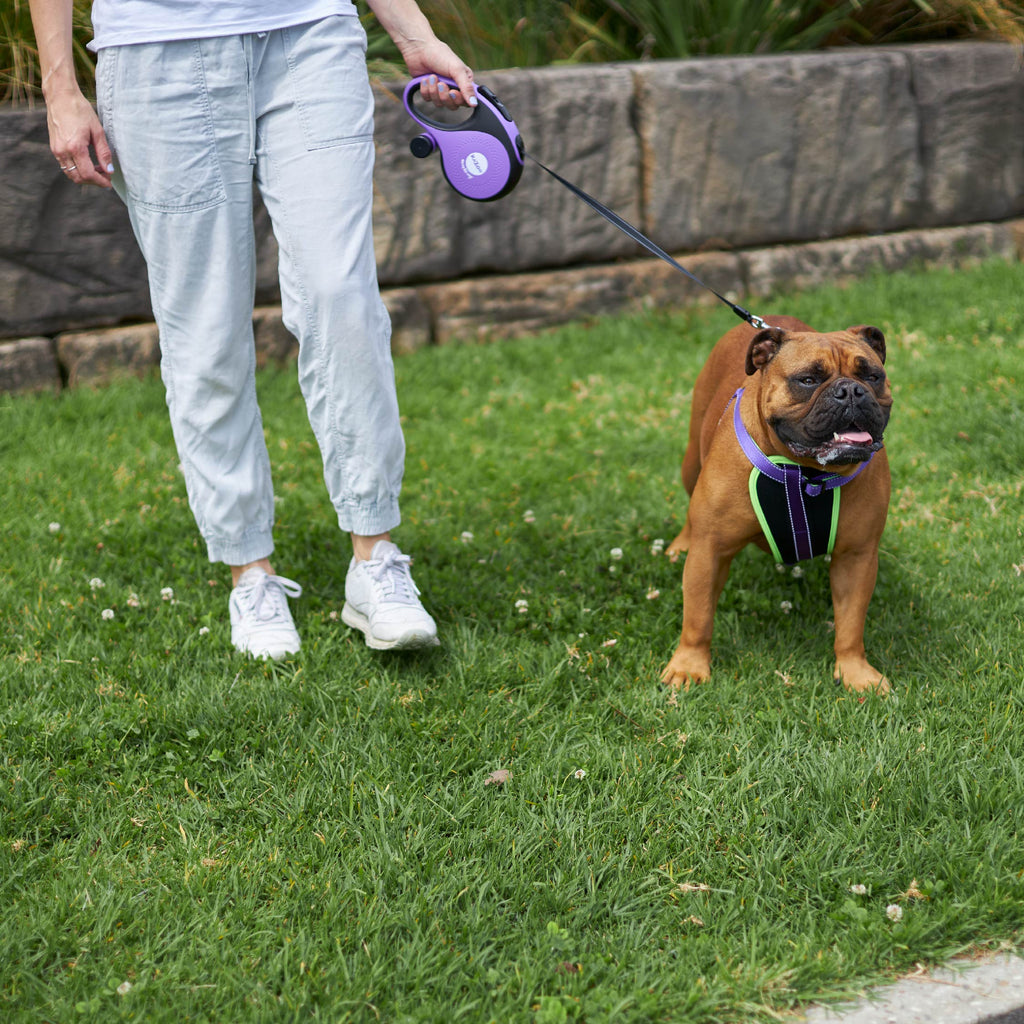 Retractable Dog Leash product image 4