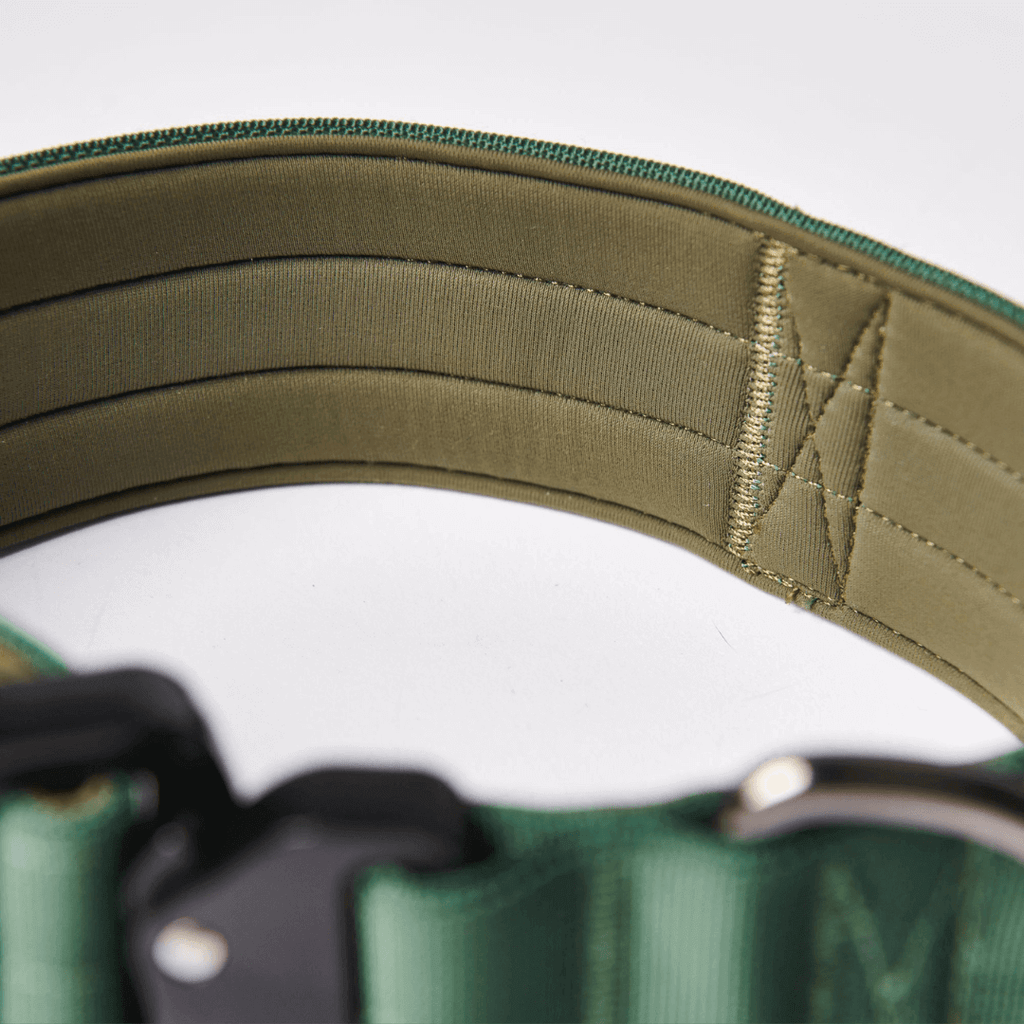Control-Handle Dog Collar product image 4