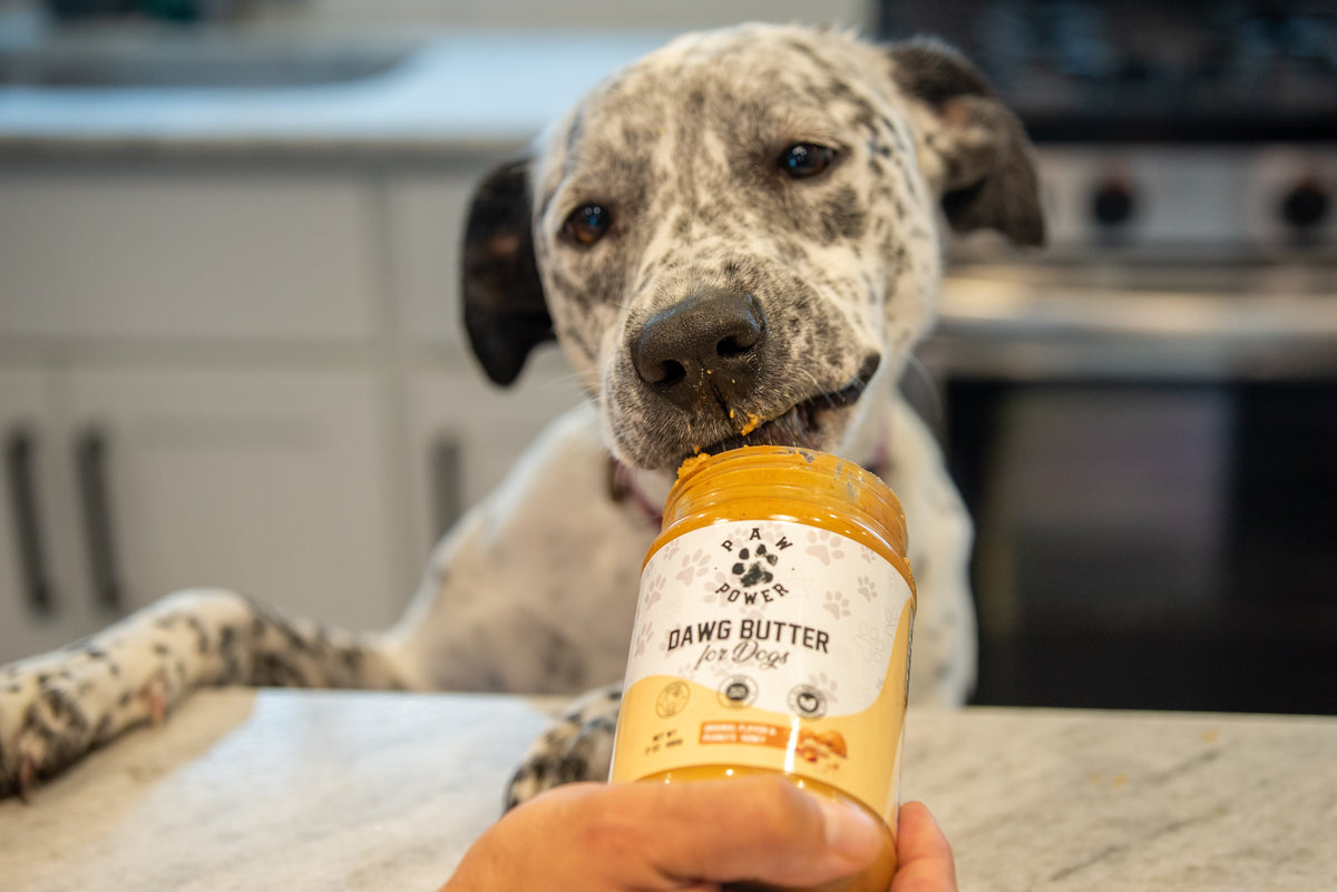 Lickable Dog Treat product image 5
