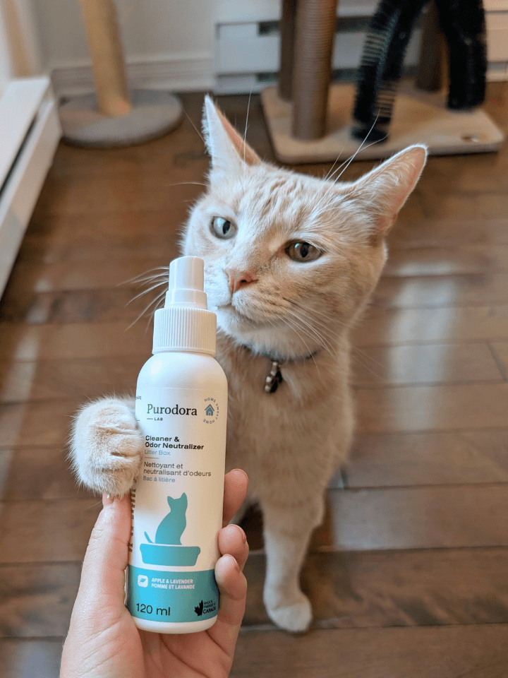 Pet Odor Neutralizer product image 2