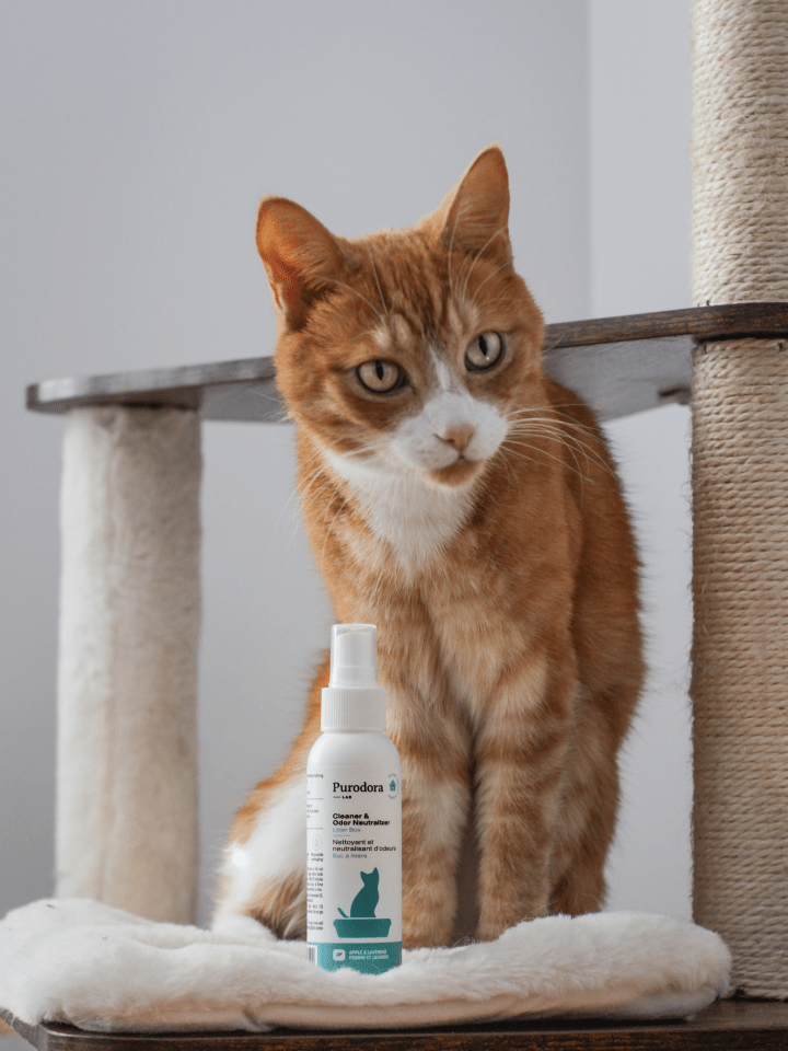 Pet Odor Neutralizer product image 4