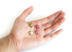 Small Animal Treats product image 2