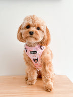 Dog Harness product image 4