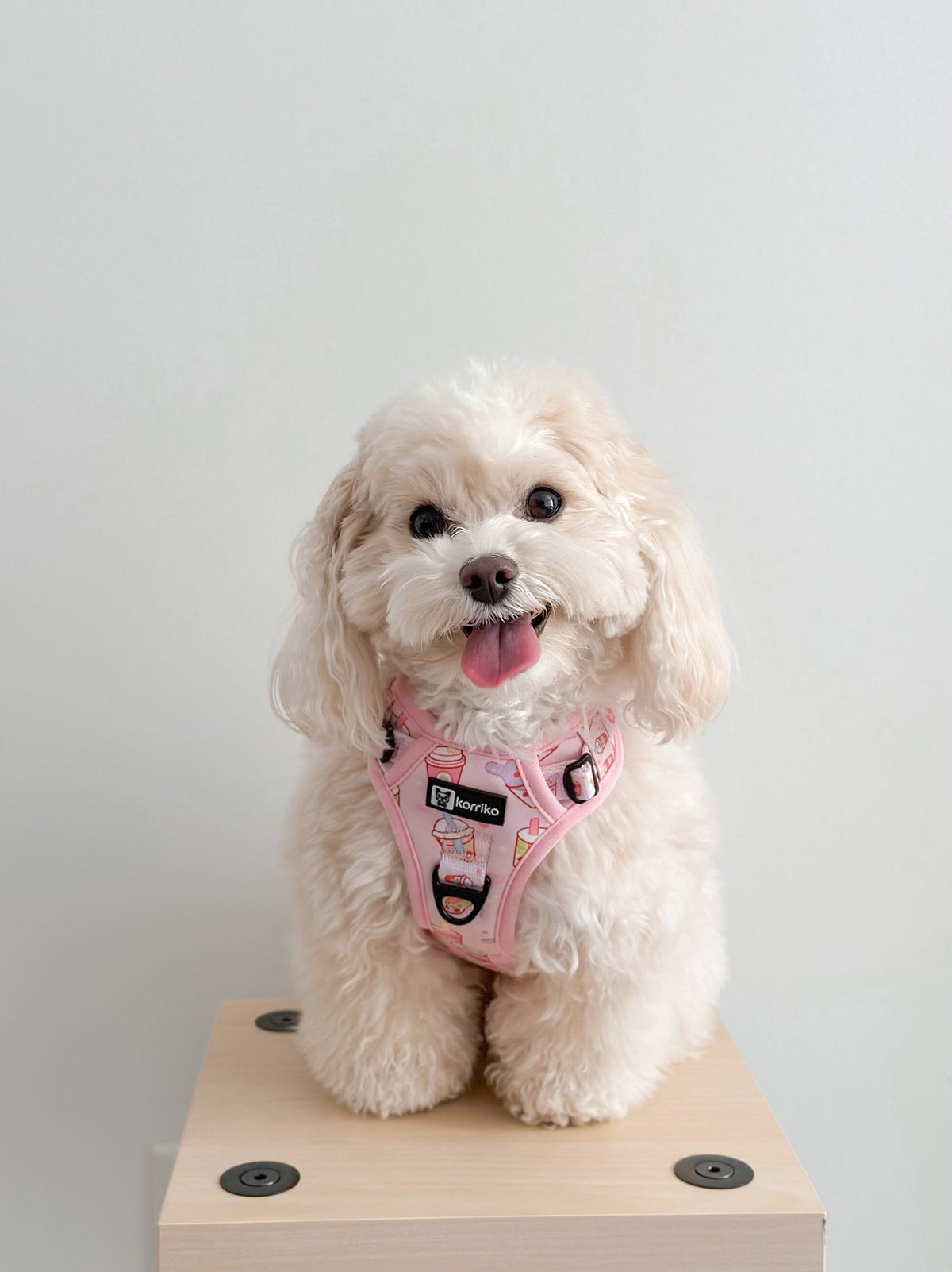 Dog Harness product image 5