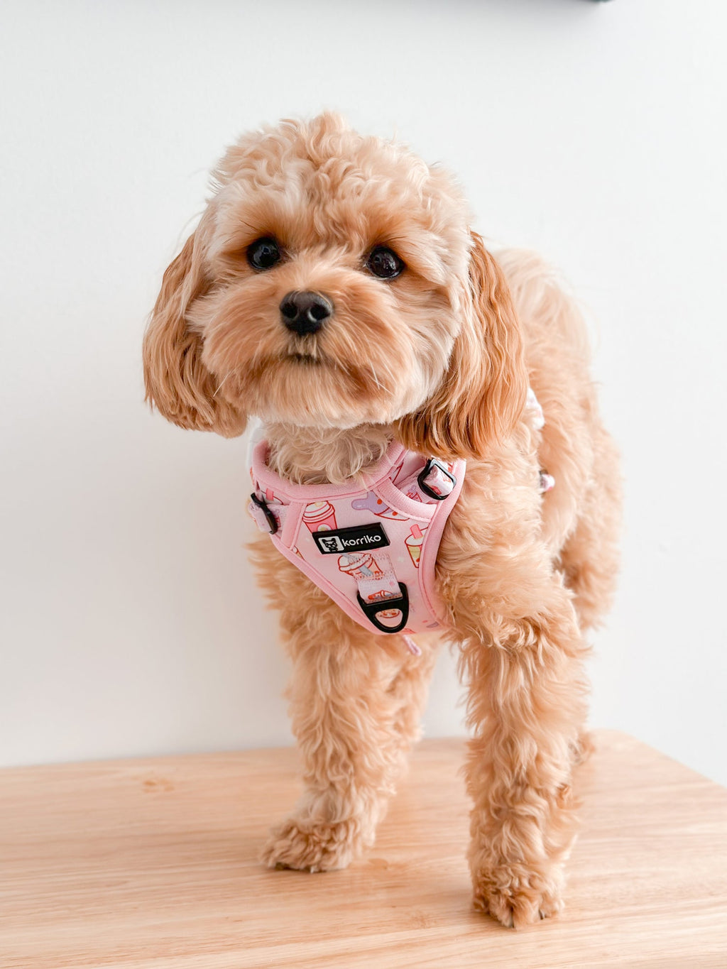 Dog Harness product image 6