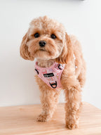 Dog Harness product image 6