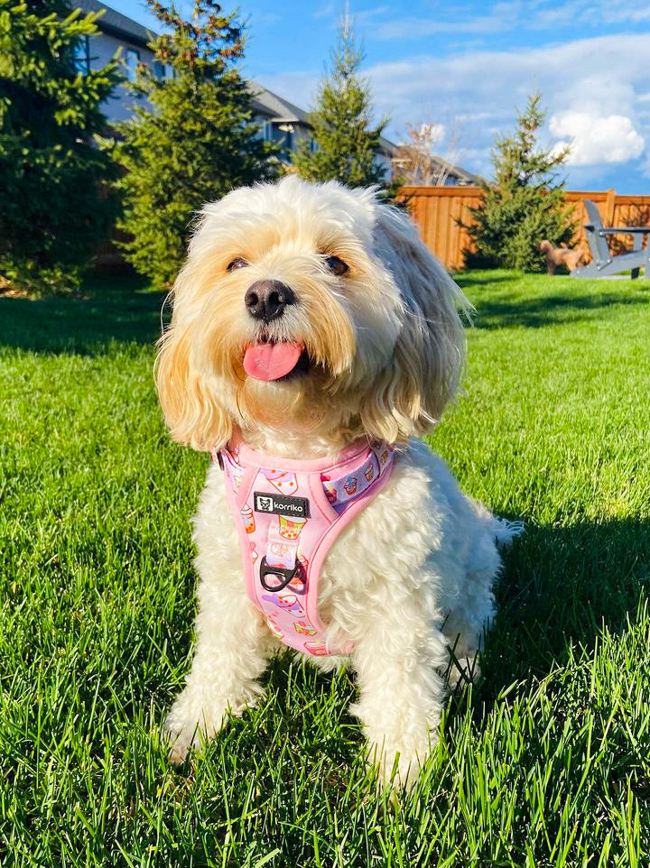 Dog Harness product image 7