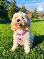 Dog Harness product image 7