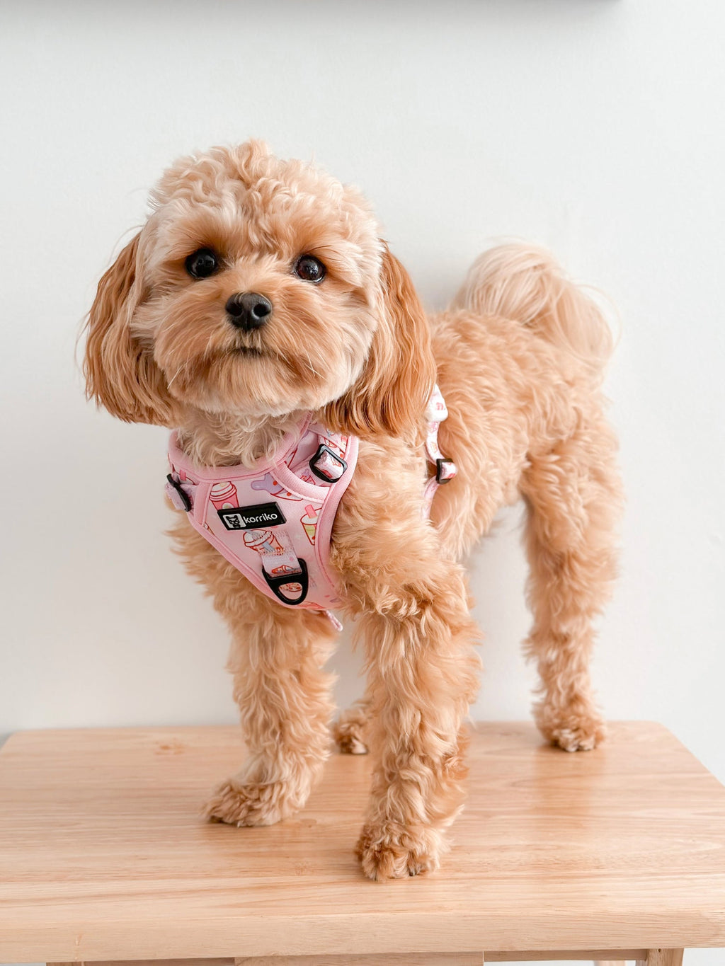 Dog Harness product image 8