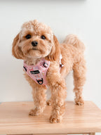 Dog Harness product image 8