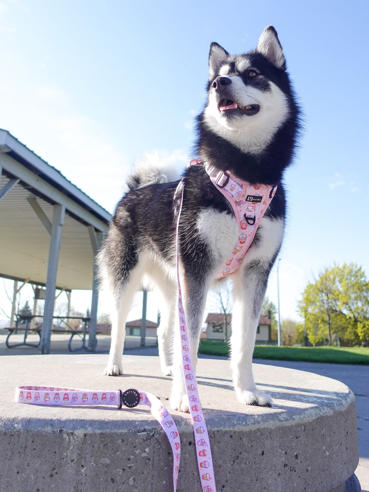 Dog Harness product image 9