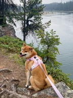 Dog Harness product image 10