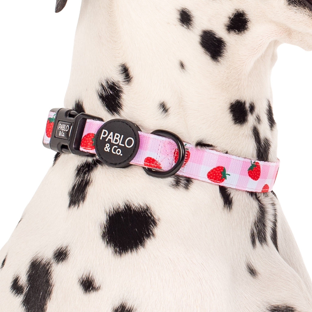 Dog Collar product image 1