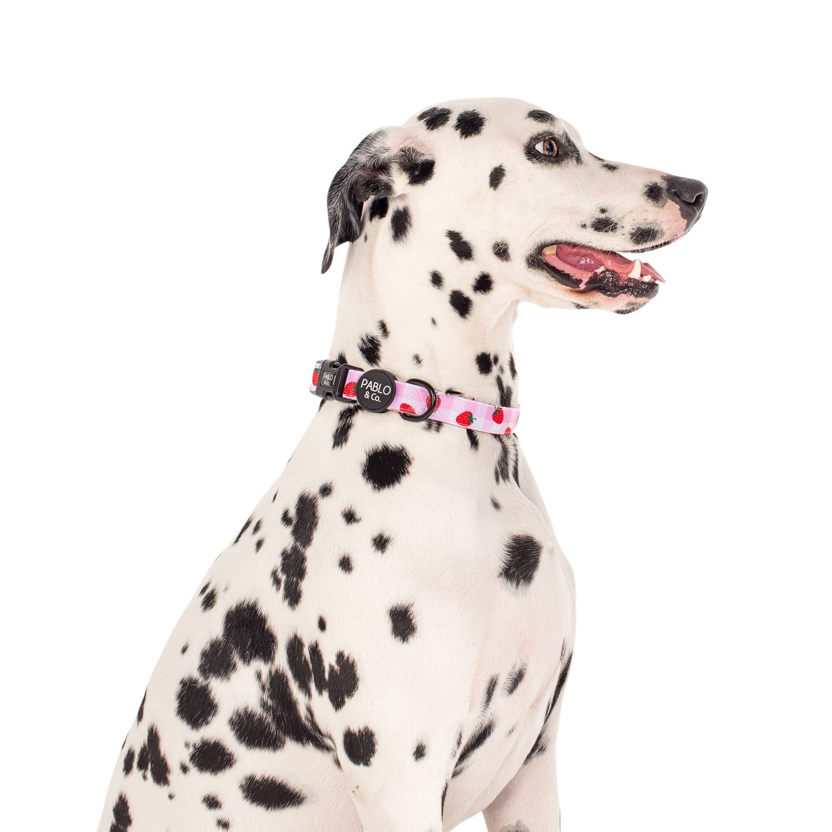 Dog Collar product image 2