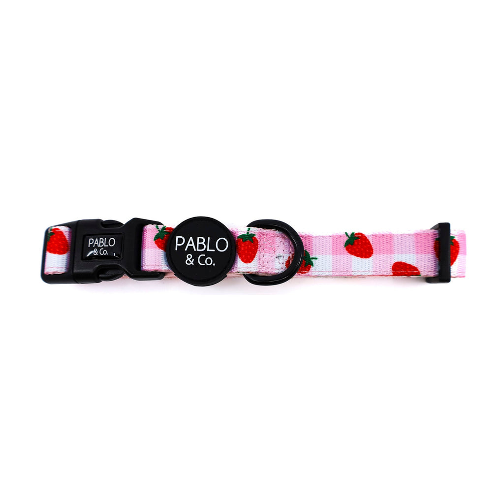 Dog Collar product image 3