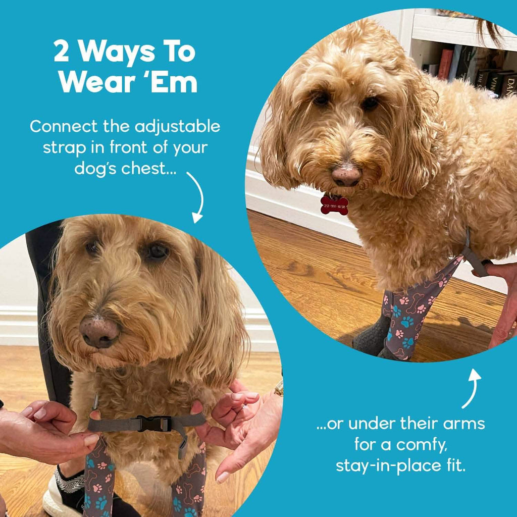 Dog Sock Leggings product image 5