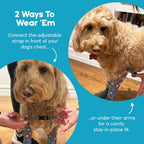 Dog Sock Leggings product image 5