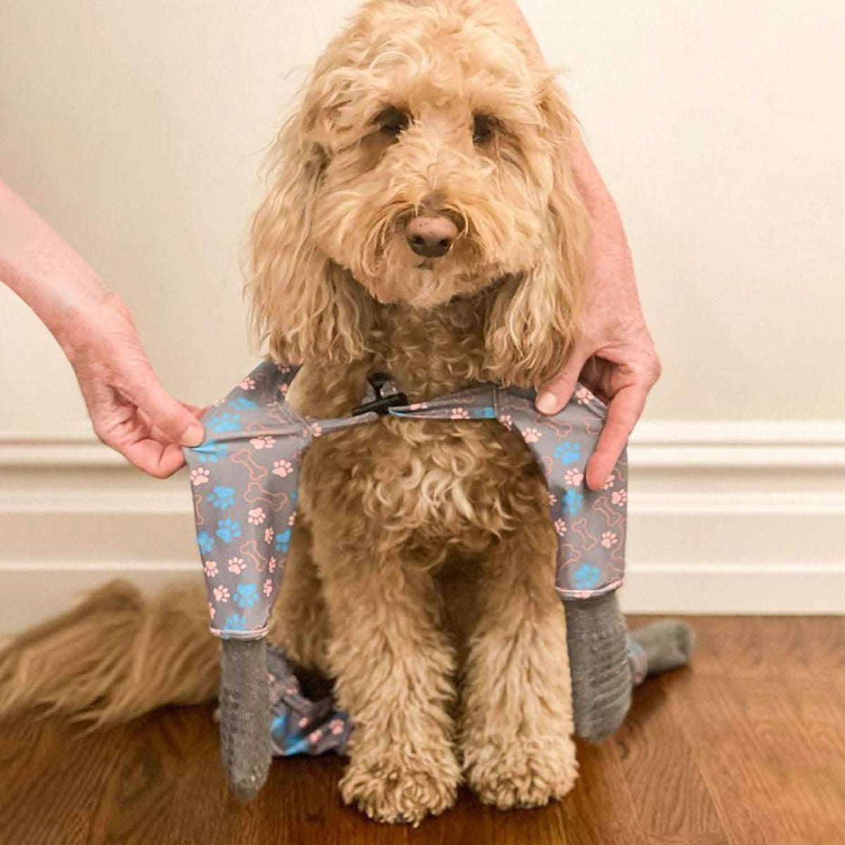 Dog Sock Leggings product image 6