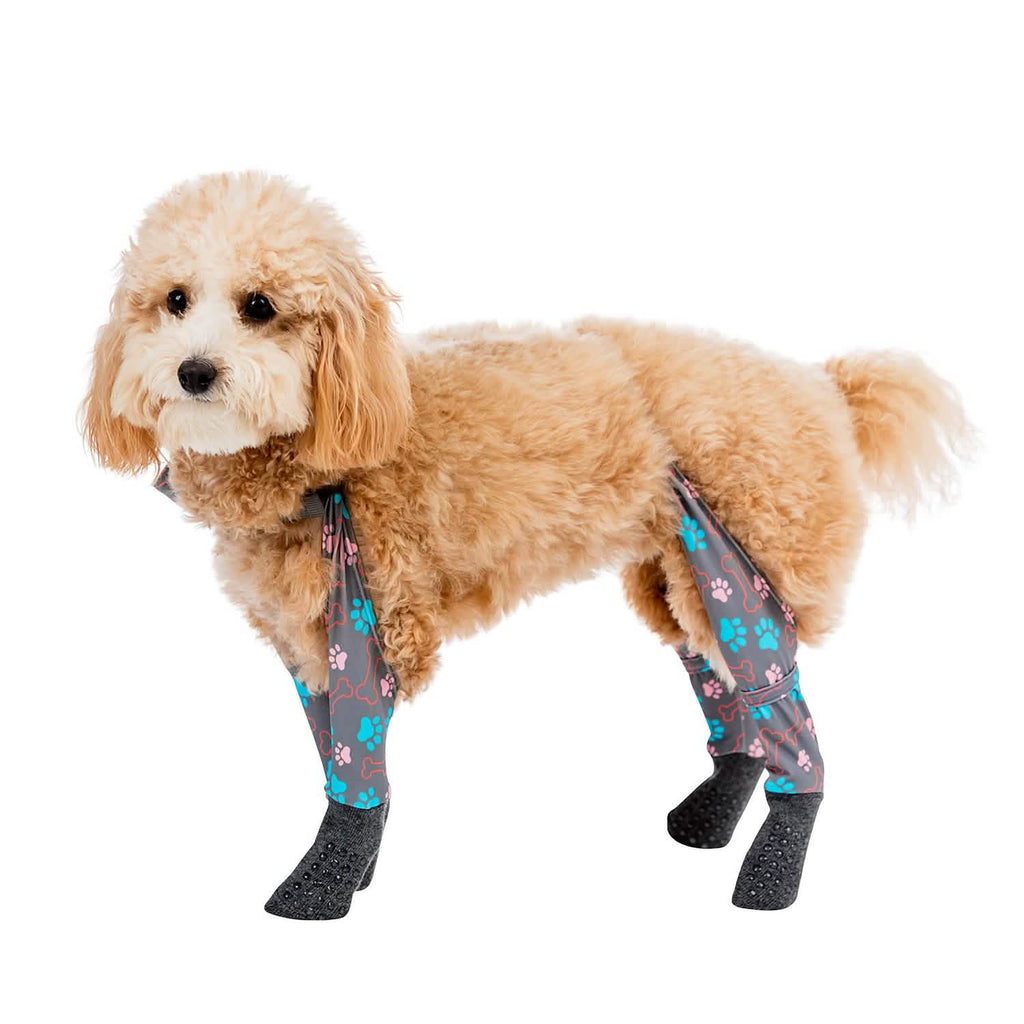 Dog Sock Leggings product image 10