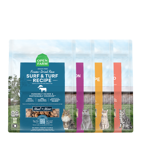 Freeze-Dried Cat Food product image 1